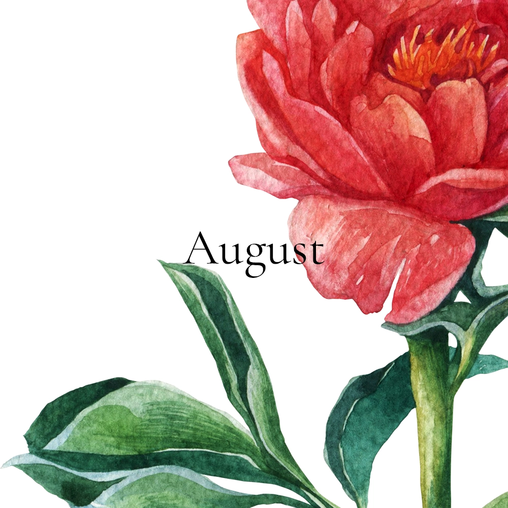 August [owlditorship]