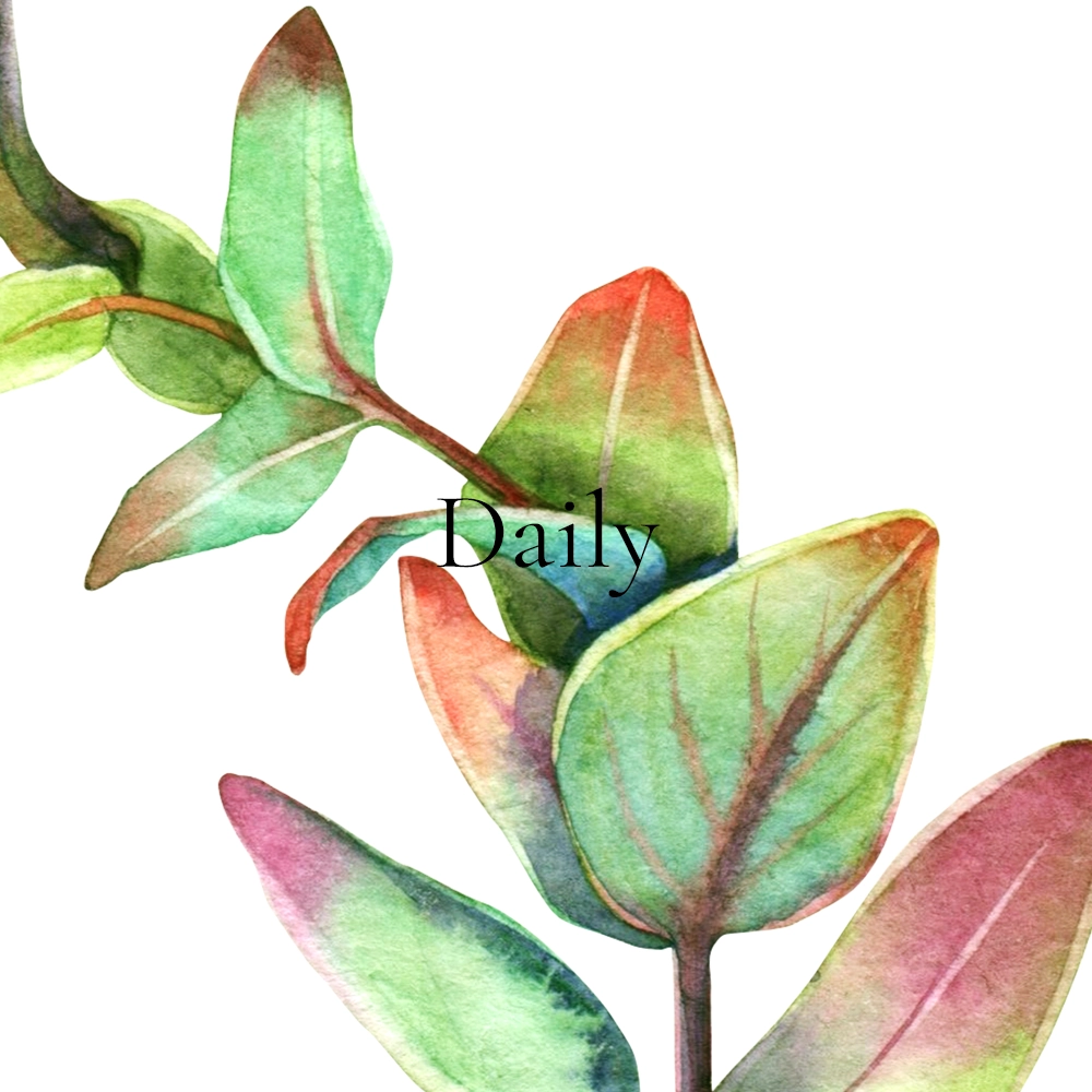 Daily [owlditorship]