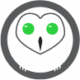 The Owls' City