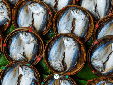 Short Thai Mackerel
