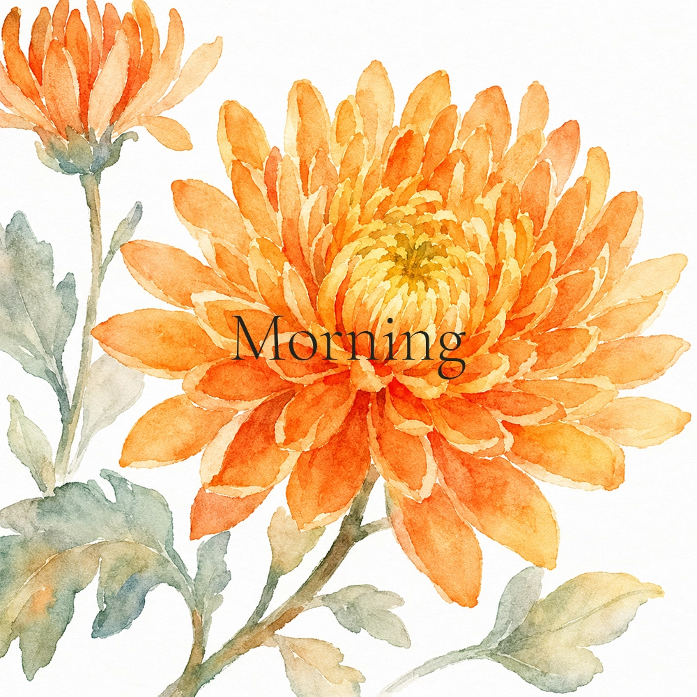 Morning [Owl-ditorship]